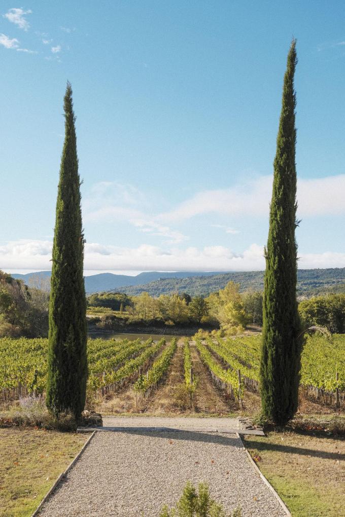 Les Davids strekt zich uit over 320 hectare, waarvan 24 hectare wijngaarden zijn. Goed voor 19 verschillende druifsoorten.