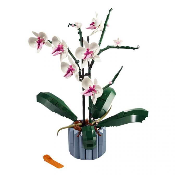 Orchidee (608 stukjes)