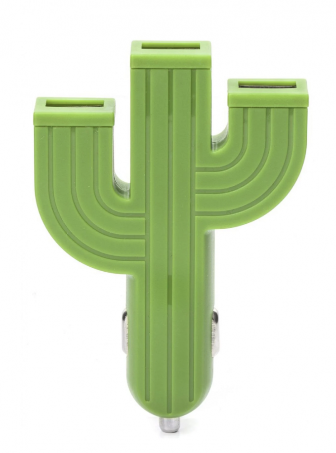 Port USB Cactus