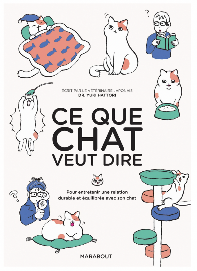 Ce que chat veut dire