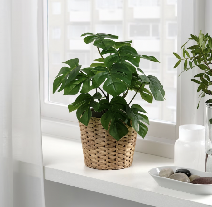 Plante artificielle en pot, intérieur/extérieur monstera, 12 cm