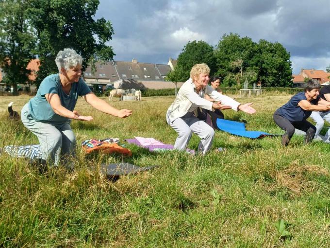 Vzw De Weij en Charlotte van Balans Yogaschool sloegen er de handen in elkaar voor een yogasessie tussen koeien.