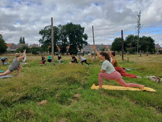 Vzw De Weij en Charlotte van Balans Yogaschool sloegen er de handen in elkaar voor een yogasessie tussen koeien.