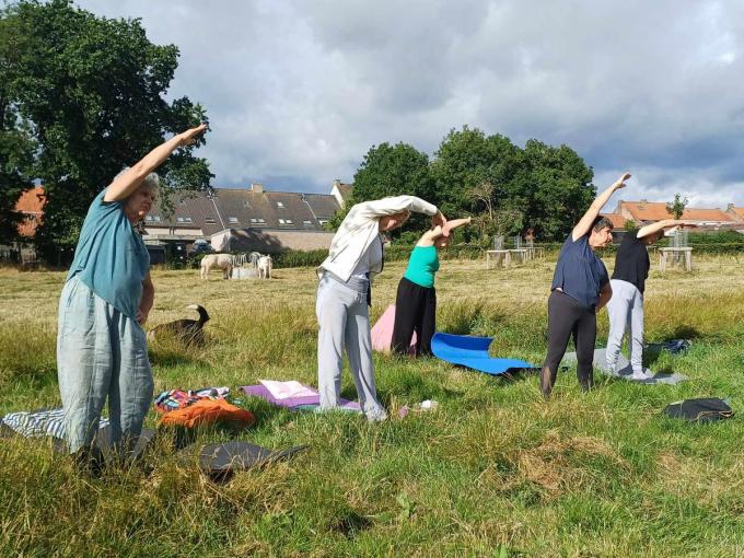 Vzw De Weij en Charlotte van Balans Yogaschool sloegen er de handen in elkaar voor een yogasessie tussen koeien.