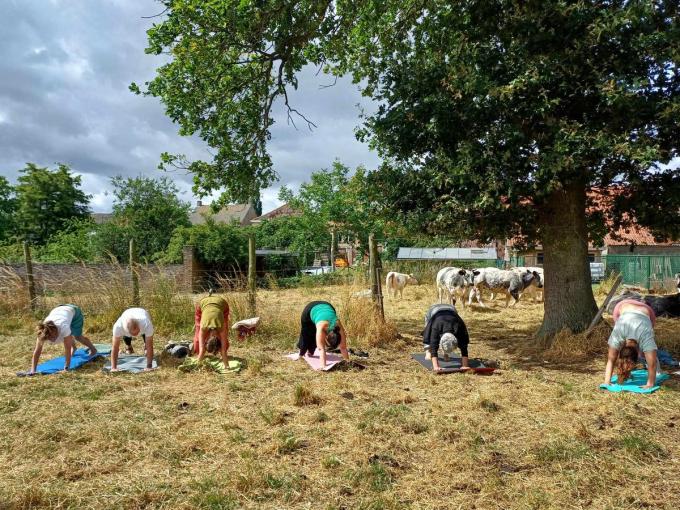 Na de yogasessie gingen de 12-tal deelnemers de koeien zelf even opzoeken om de ervaring compleet te maken.