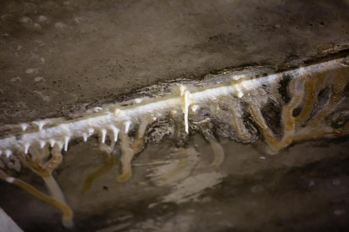 Voor stalactieten moet je niet naar de Ardennen, je vindt ze gewoon in de kelders van het Brugse gerechtsgebouw.