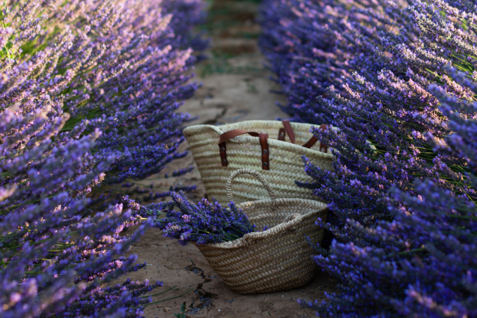 Provence eau tourisme