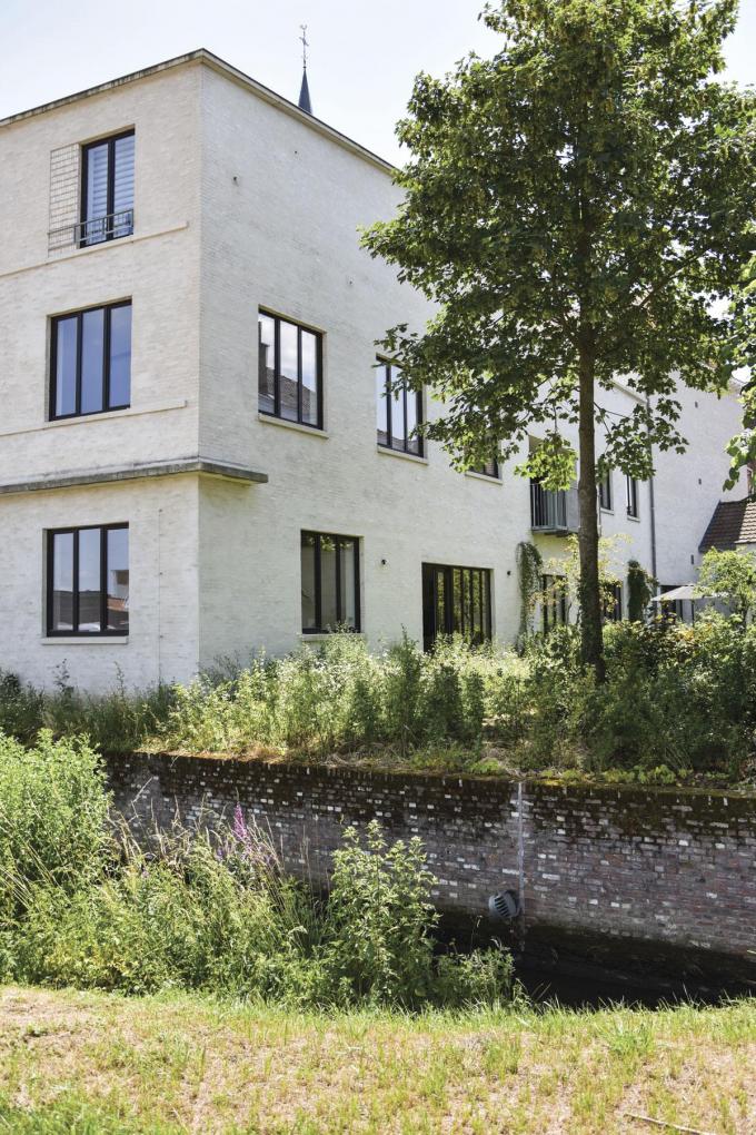 ‘In Nederland zijn nestkasten wettelijk verplicht in nieuwbouwwoningen.’ Op de foto: architectenbureau Murmuur.