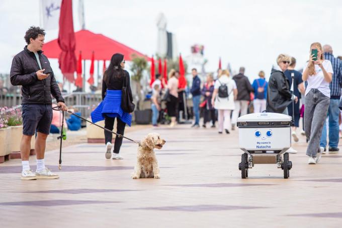 Een nieuwsgierige hond monstert de bezorgrobot van kop tot wiel.