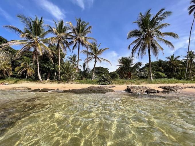 De idylische schoonheid van het Caraïbische strand. (foto ADM)