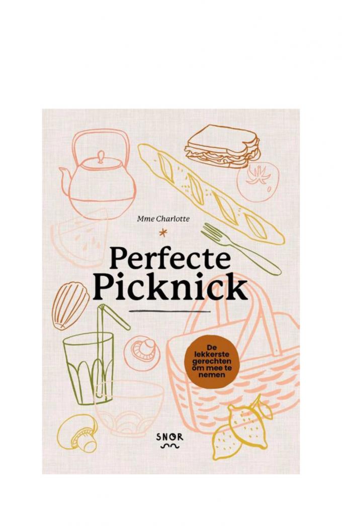 Boek 'Perfecte picknick' van Charlotte Fielmich