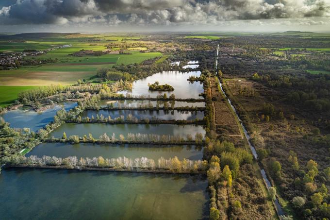 MArais d Saint Gond, dans la Marne (ici en 2022)