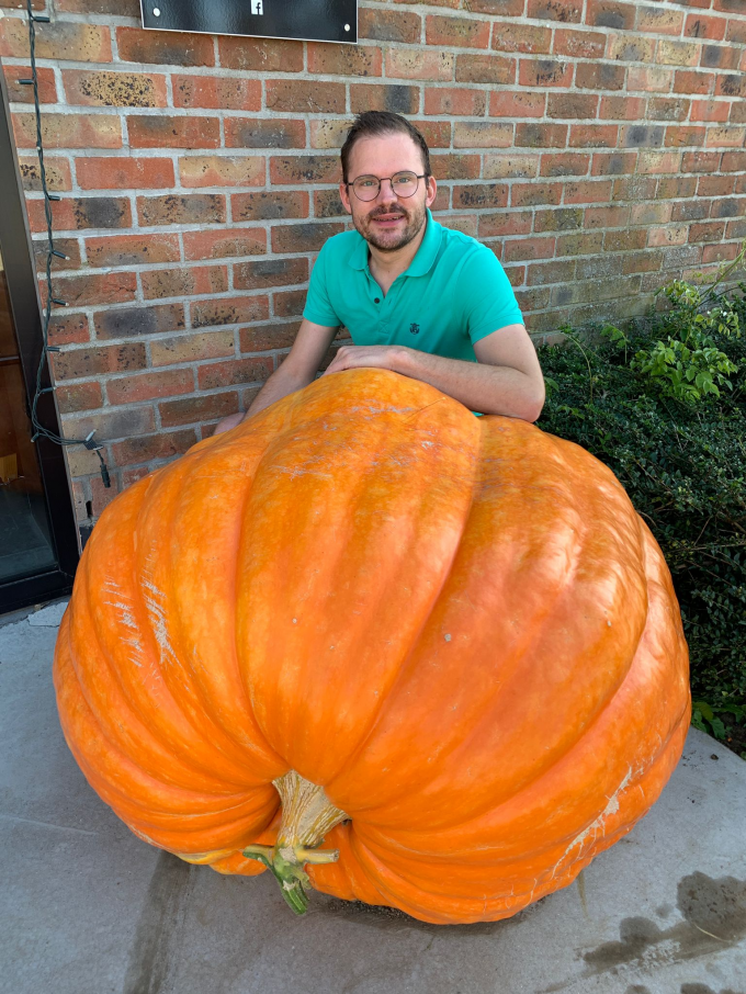 Ernest Masschelein heeft een reuzenpompoen gekweekt van maar liefst 241 kilogram.