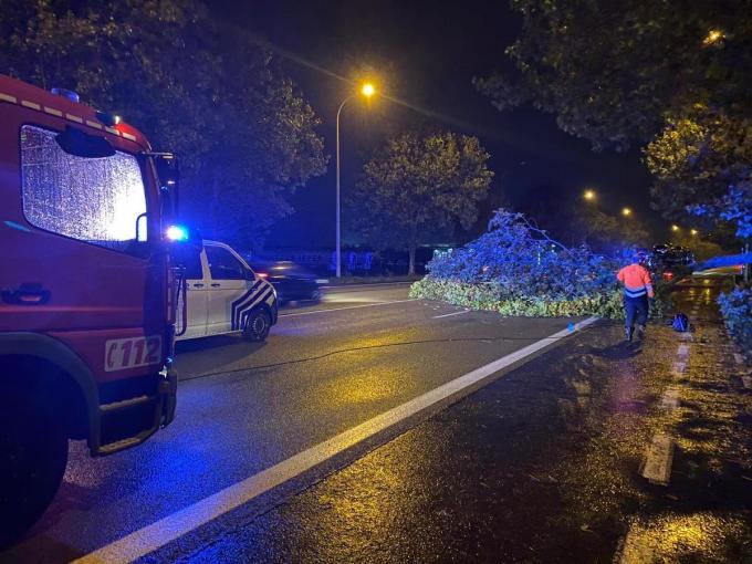 Momenteel is Brandweer Westhoek ter plaatse voor een omgewaaide boom op de Noorderring ter hoogte van Dupont richting A19.