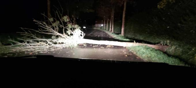 In de Kruisstraat in Zarren viel een vrij grote boom op de weg.