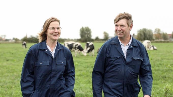 Het Land van Melk en Honing uit Nieuwkapelle maakt kans op ‘De Mooiste Koeienweide’: “Elke dag een feest voor de koe”