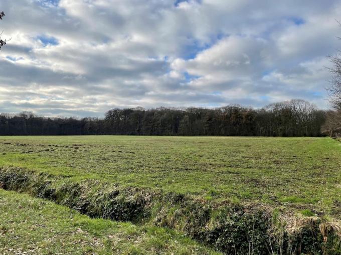 Het natuurpark Foreest in Sint-Andries.