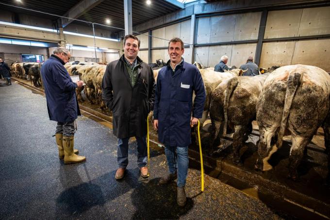 Jonge veehandelaars Nicolas Degroote en Bert Van Loocke.