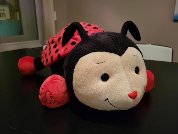 Het lieverheersbeestje vormt voor Brecht en Sophie een mooi symbool.