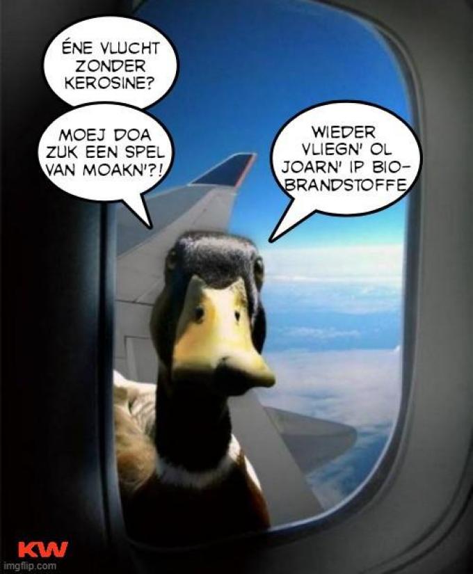 #iedereenwestvlaming