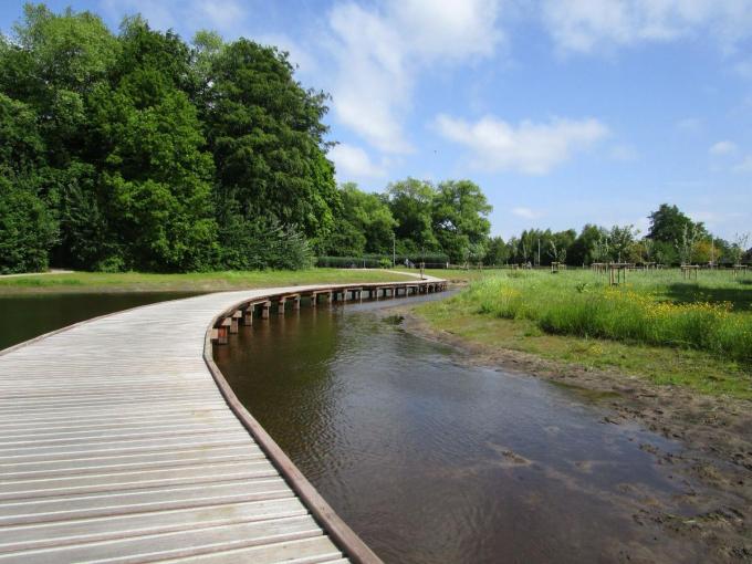 Het vlonderpad in het park Steevens.