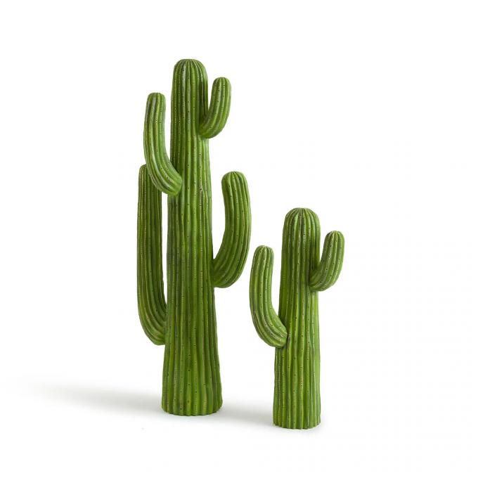 Cactus in hars