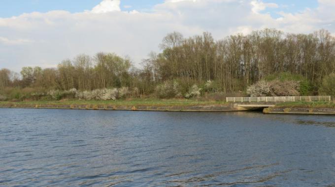 Natuur.koepel vreest voor schade aan zeldzame natuurgebieden zoals de oude Leiearm in Kuurne.