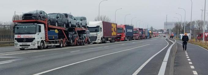 De lange rei gestrande vrachtwagens in de Baron de Maerelaan in Zeebrugge.