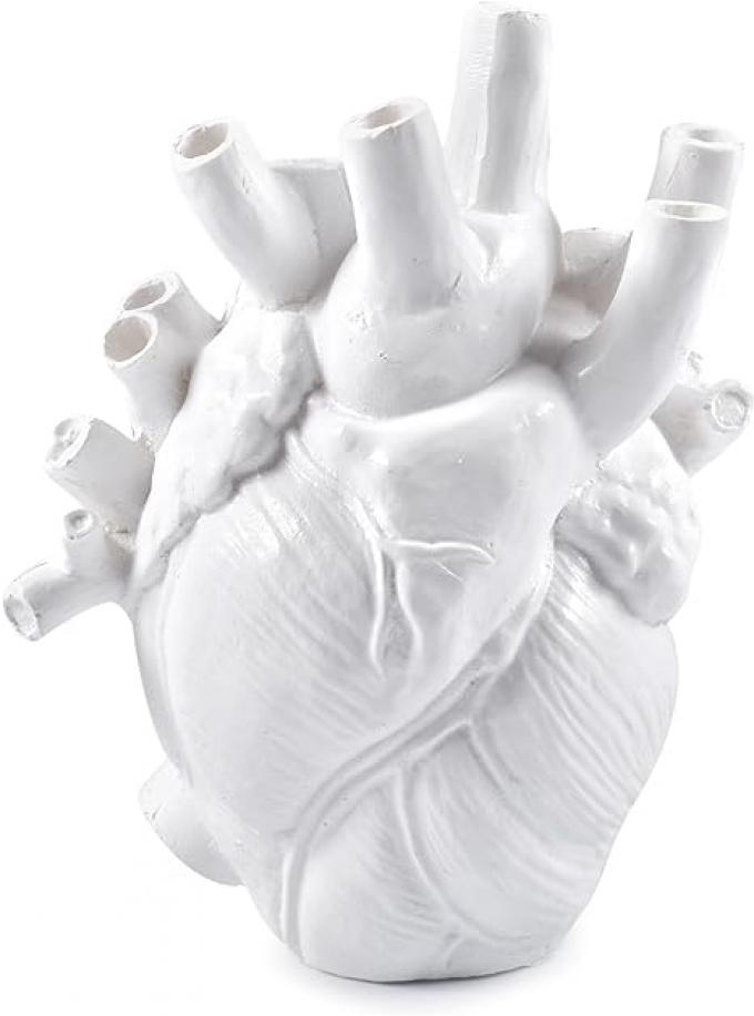 Vase coeur humain