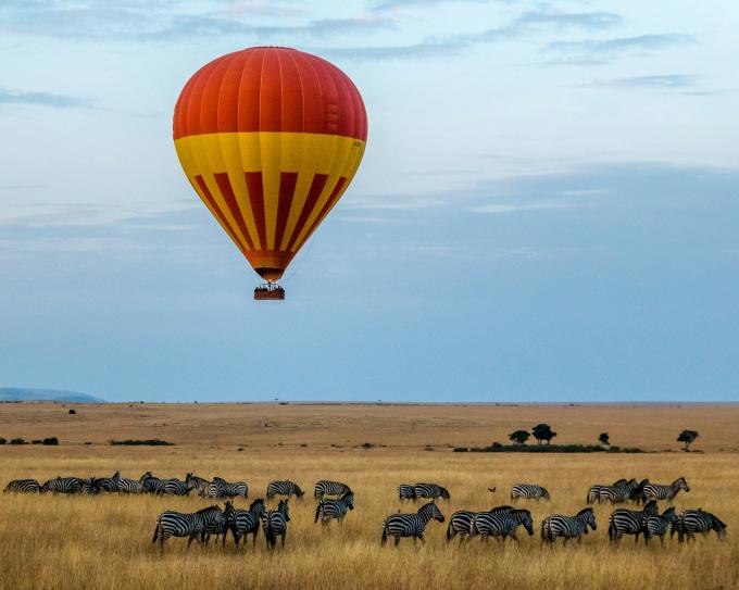 safari kenya