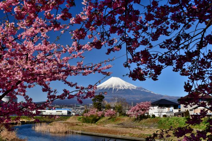 mont fuji japon