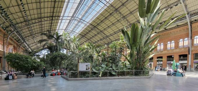 Een heuse jungle in treinstation Atocha.
