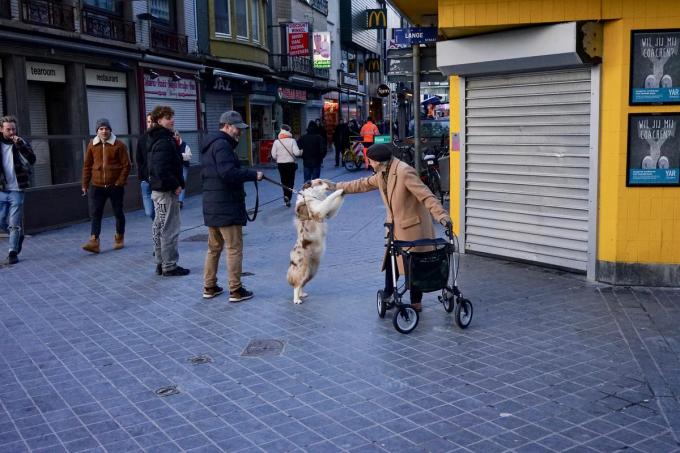 Oostende zou Oostende niet zijn zonder al zijn hondjes. Hier een ontmoeting tussen een oudere dame en een hond. De affiches rechts ‘Wil jij mij coachen?’ lijken het aandoenlijke tafereel nog te beklemtonen.