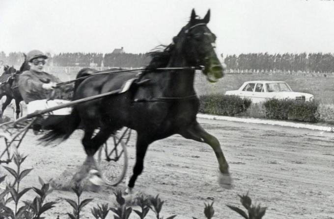 Jeannine De Fauw heeft altijd vaart in haar leven gezocht, ook in de drafsport. Dit is een beeld uit 1964.