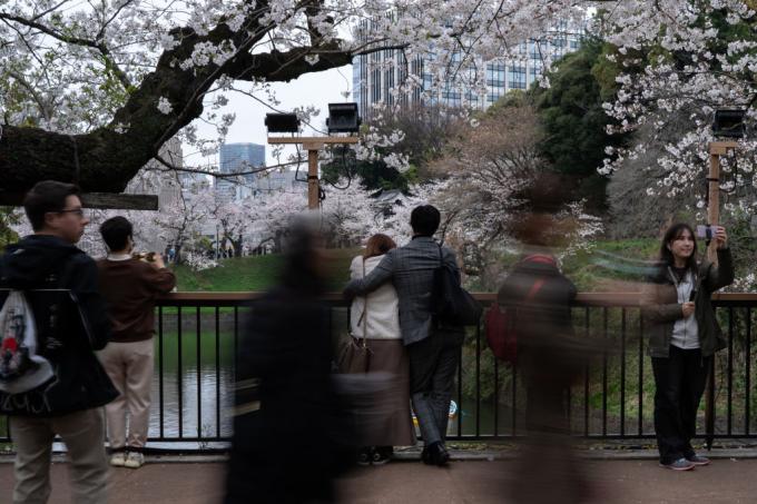 record de visiteur japon