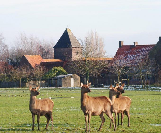 De Bouvrie staat bekend om hun hertencharcuterie.