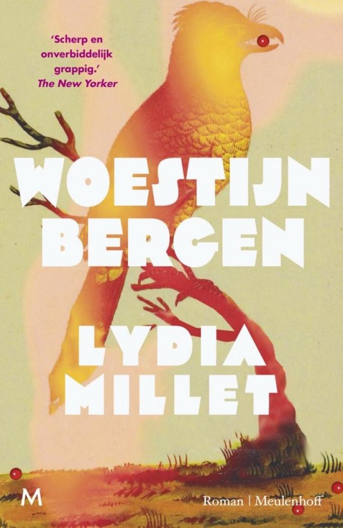 Woestijnbergen – Lydia Millet