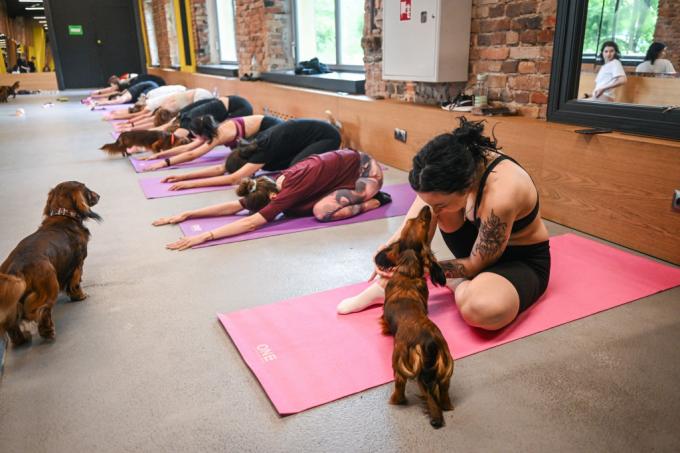 puppy yoga