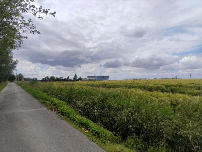 In de verte zie je het moderne kantoor van Barco tussen de velden. In dat veld zou trouwens de golfschool komen. (foto RB)