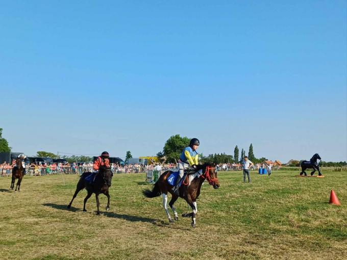 Binnen vzw Draf- en vluchtkoersen Torhout is er ook een jongerengeneratie en deze kinderen toonden het beste van zichzelf tijdens de ponykoers.