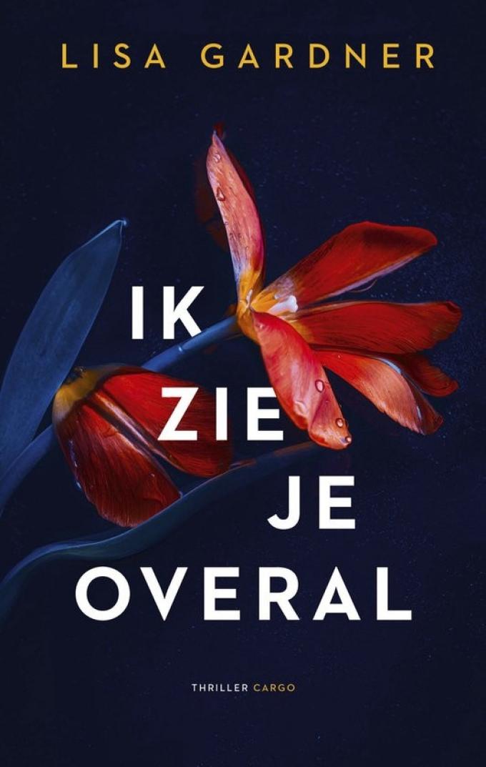 Ik zie je overal – Lisa Gardner