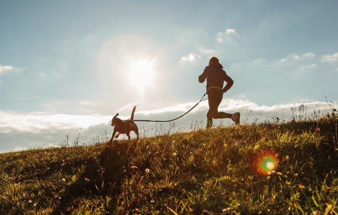 Comment courir avec son chien en toute sécurité - Getty Images