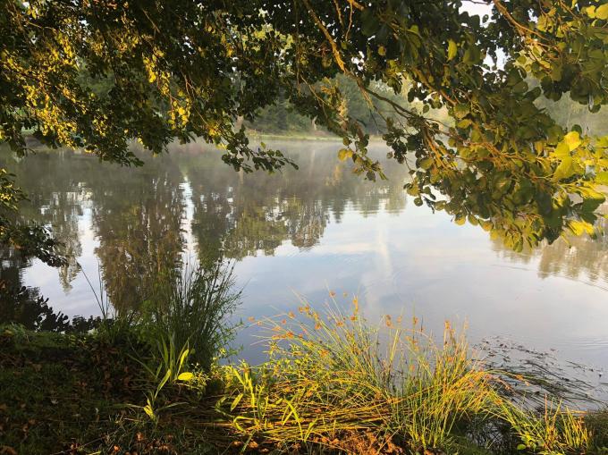 Les Etangs de Recht, à St. Vith