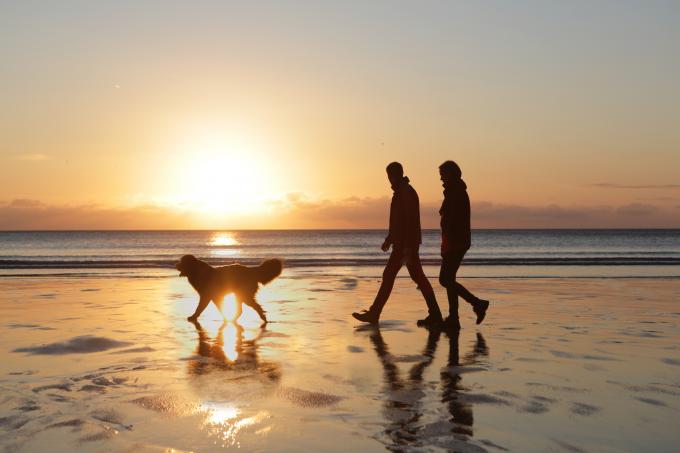 promenade chien autorisé mer