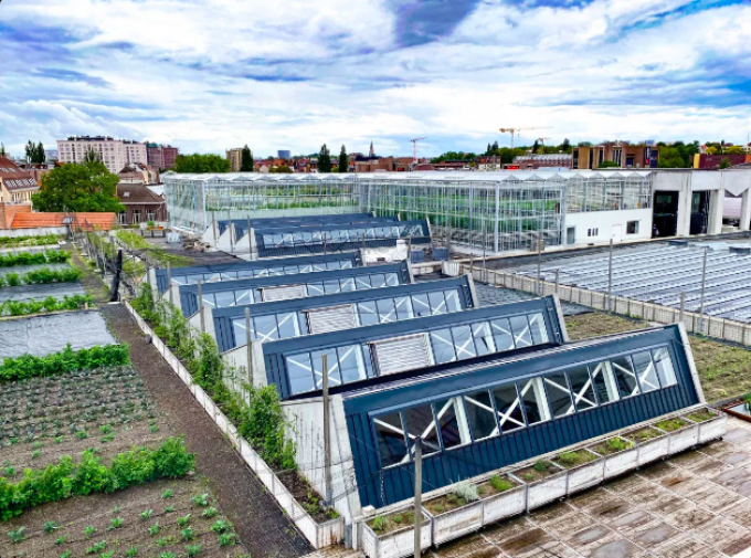 Visitez la ferme aquaponique de Bruxelles