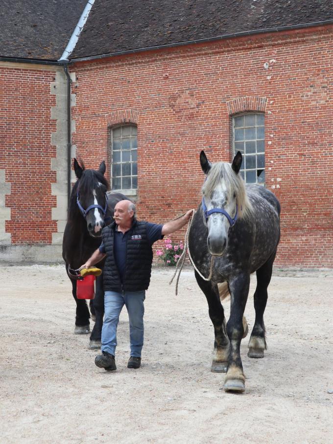 Magische uitzichten op la Roche d’Oëtre en indrukwekkende paarden in Haras du Pin: de Orne blijft verrassen. (foto’s SRA)