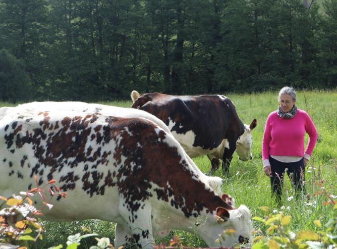 Camembertmaakster Dalila met haar Normandische koeien, te herkennen aan hun ‘bril’. (foto SRA)