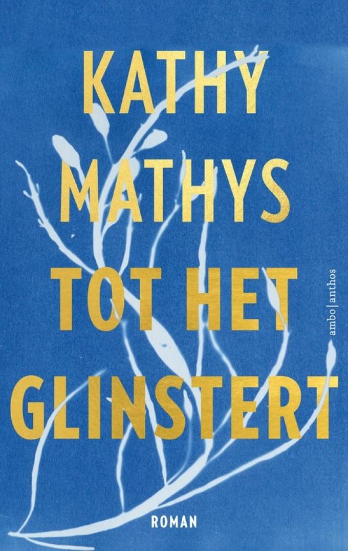 Tot het glinstert – Kathy Mathys