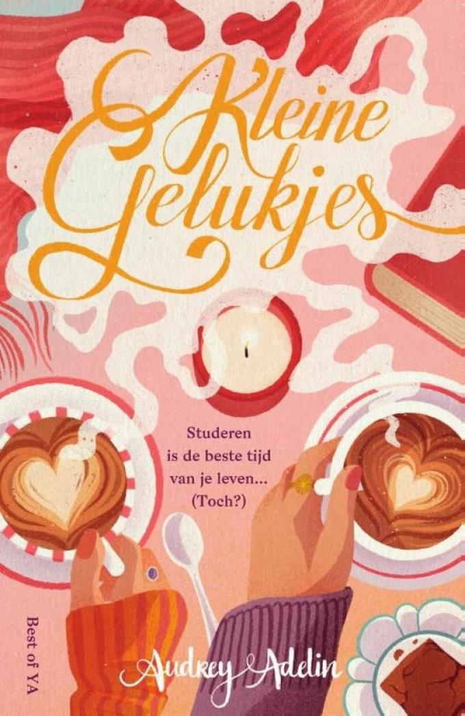 Kleine gelukjes – Audrey Adelin