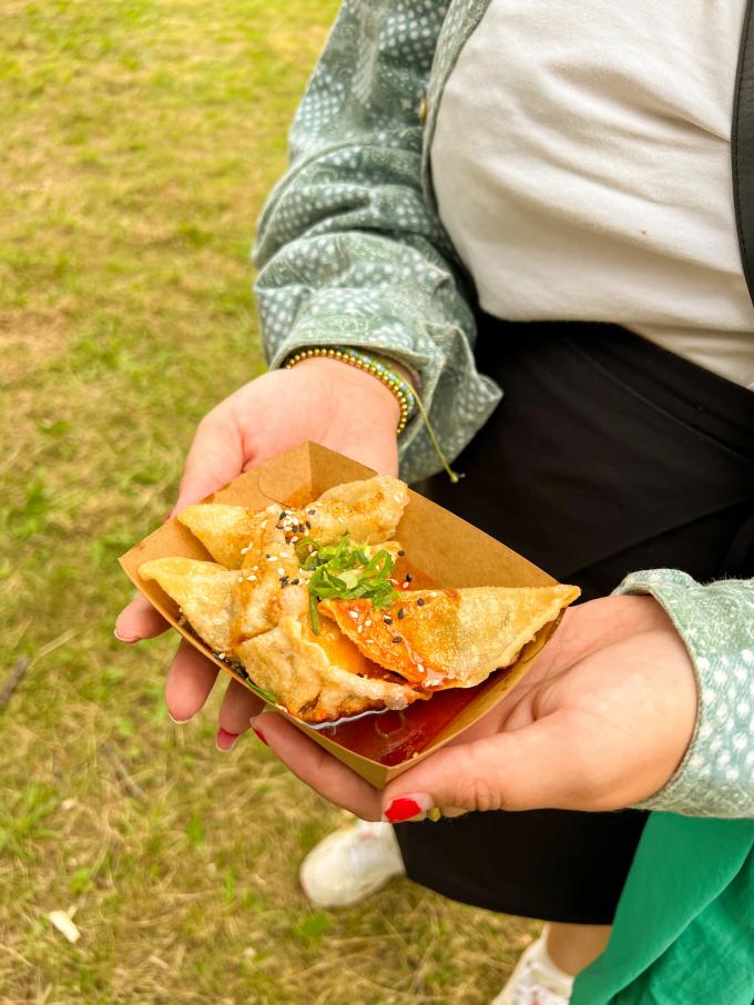 Korean fried mandu met tofuvulling